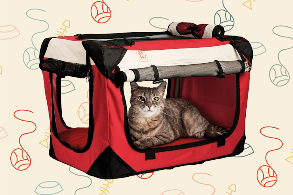 cat laying in a red cat carrier