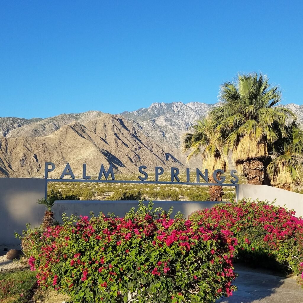 Palm Springs sign with mountains and palm tree in background and fuschia flowers in front