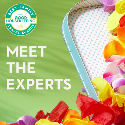 title slide for meet the experts gallery on green background with palm tree shadow and lei